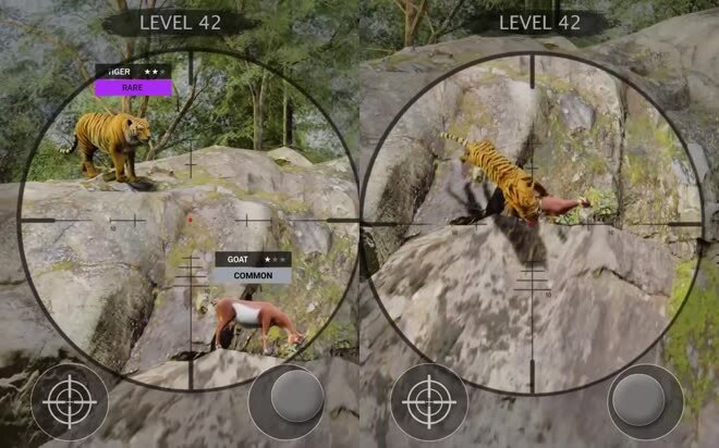 Two frames of the tiger version: the tiger standing on pale rock, then tumbling with the goat